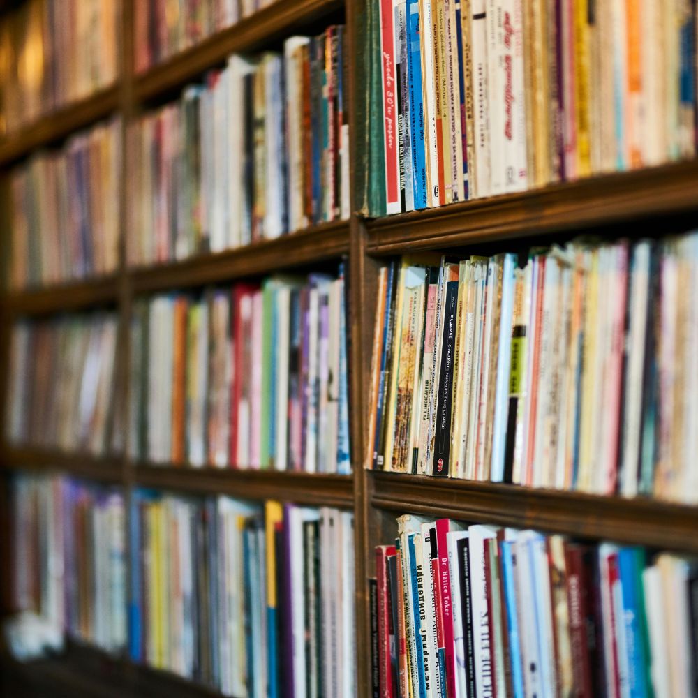 Bibliography of the Algerian Women's Novels