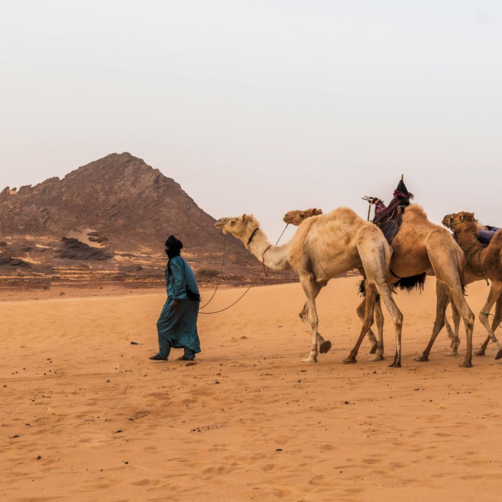 شعور الانتماء الوطني في محك الحدود: التحديات الاجتماعية في المدن الحدودية بالجنوب الجزائري