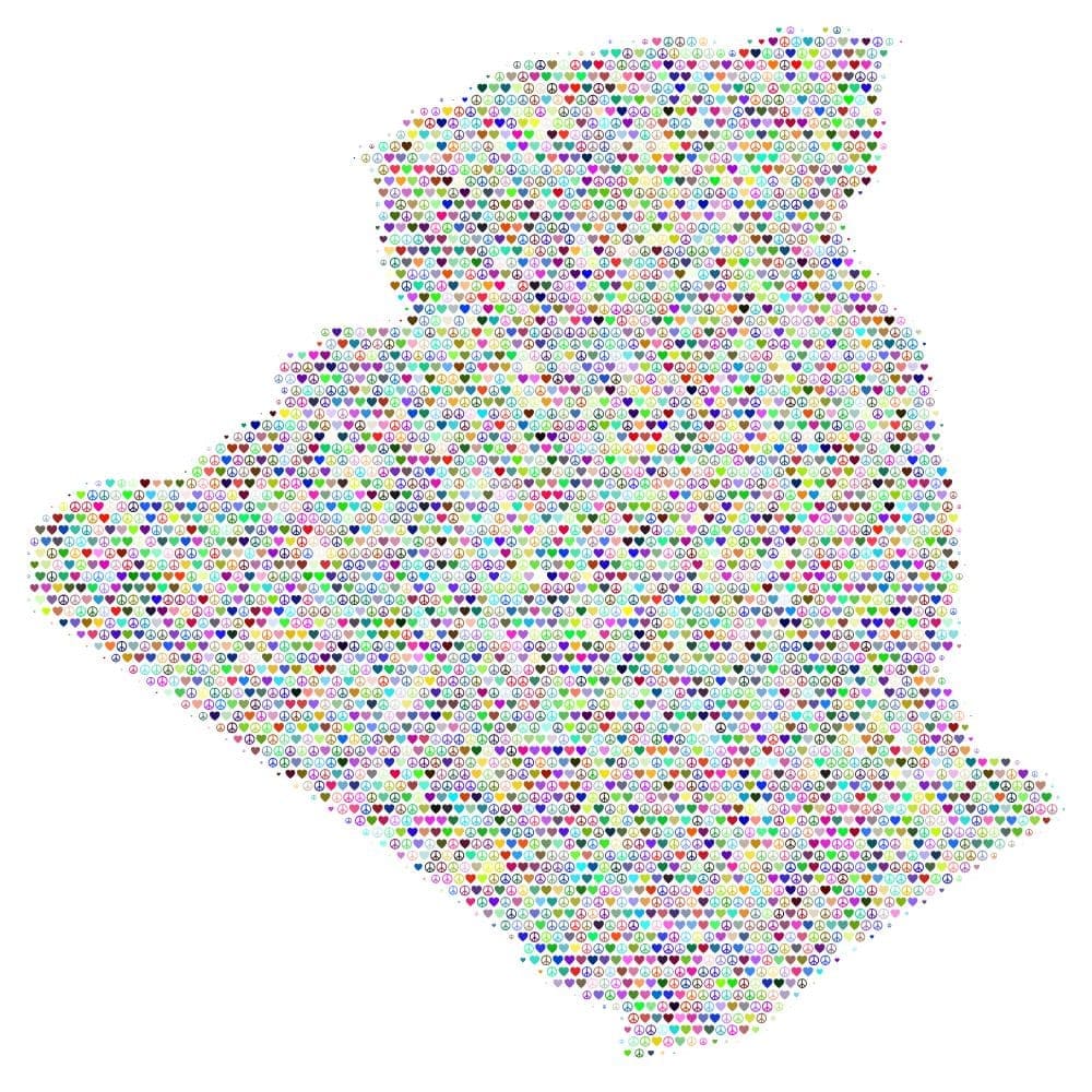 The new trends in algerian demography